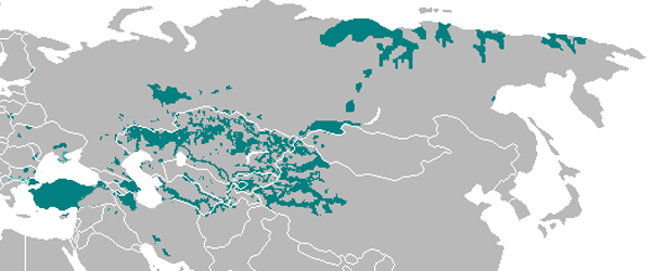 Карта расселения тюркоязычных народов