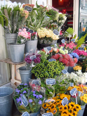 Выбор и покупка цветка в магазине
