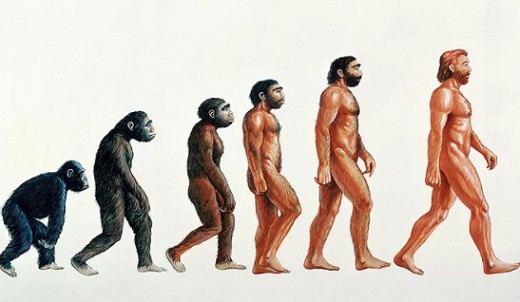 Процесс происхождения человека от обезьяны