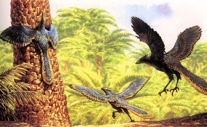 Древнейшие предки птиц