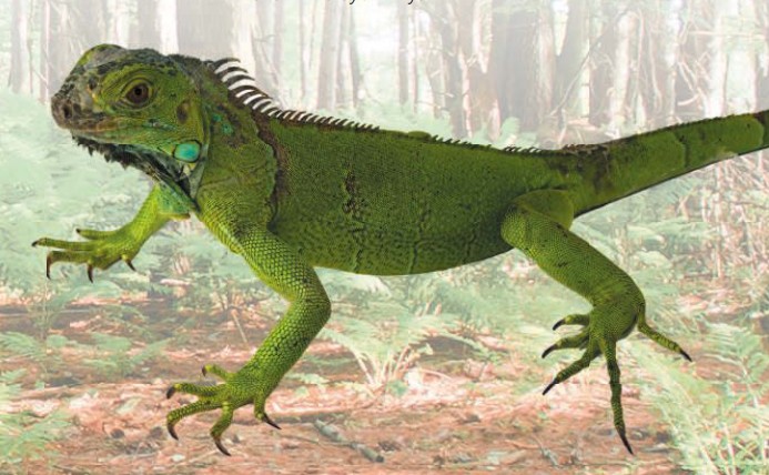 Динозавр игуанодон