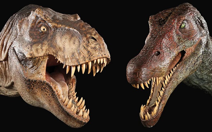 Зубы плотоядных динозавров