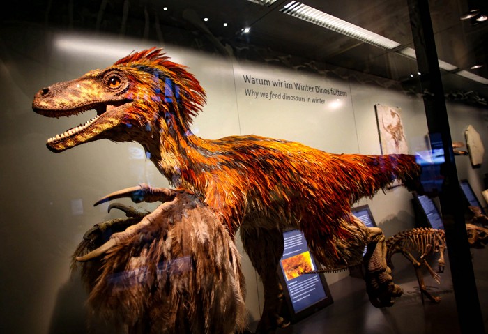 Макет оперенного дейнониха.Музей естествознания, Вена, Австрия