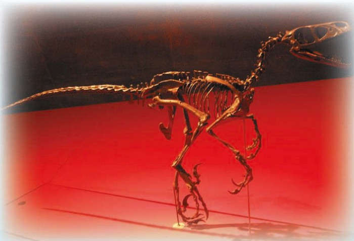 Скелеты динозавров на металлических каркасах