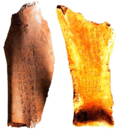 Гадательные кости с надписями. Эпоха Шан. XIII—XI вв. до н. э.