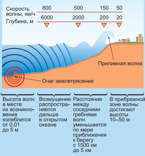 Схема возникновения и распространения цунами