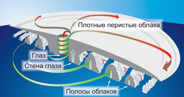 Структура тропического циклона