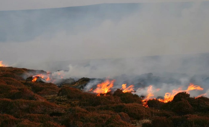 Торфяной пожар в Даннет Хэд, Шотландия