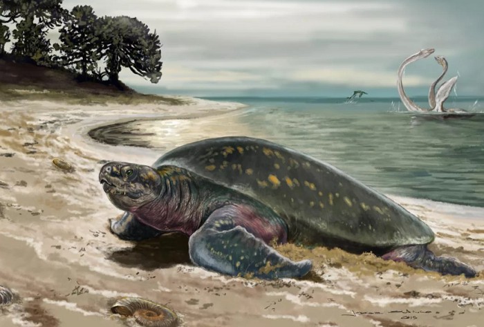 Черепахи мезозойской эры