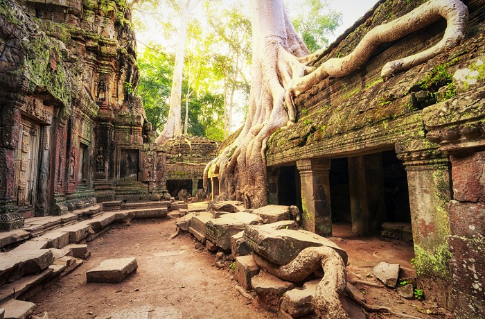 Руины храма Та Прум, скрытые в джунглях