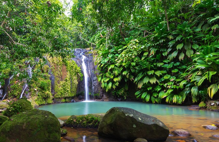 Влажные тропические леса и небольшие водопады Белиза