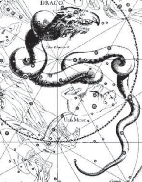 Созвездие Дракона. Иллюстрация из астрономического атласа «Уранография» Я. Гевелия