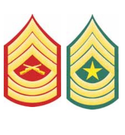 Знаки различия сержантского состава