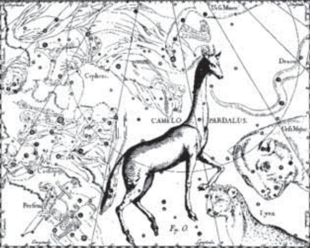 Созвездие Верблюда (Жирафа). Иллюстрация из астрономического атласа «Уранография» Я. Гевелия