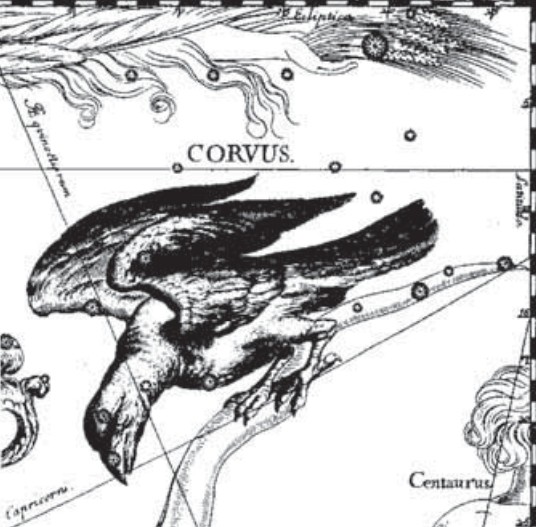 Созвездие Ворона. Иллюстрация из астрономического атласа «Уранография» Я. Гевелия