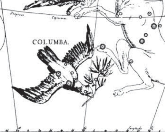 Созвездие Голубя. Иллюстрация из астрономического атласа «Уранография» Я. Гевелия