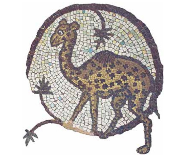 Верблюд на древнеримской мозаике в городе Петра