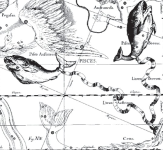 Созвездие Рыб. Иллюстрация из астрономического атласа «Уранография» Я. Гевелия