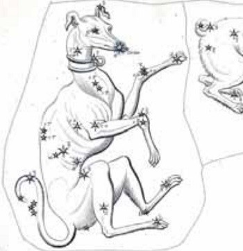 Созвездие Большого Пса. Иллюстрация из астрономического атласа «Уранография» Я. Гевелия