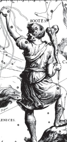 Созвездие Волопаса. Иллюстрация из астрономического атласа «Уранография» Я. Гевелия