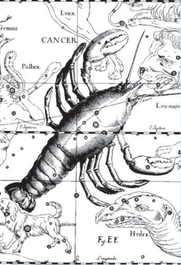 Созвездие Рака. Иллюстрация из астрономического атласа «Уранография» Я. Гевелия