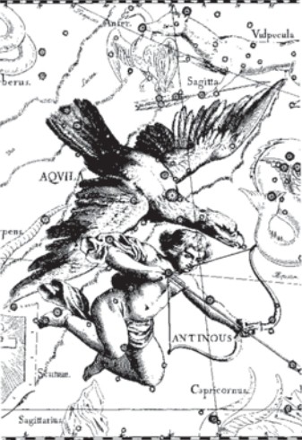 Созвездие Орла. Иллюстрация из астрономического атласа «Уранография» Я. Гевелия