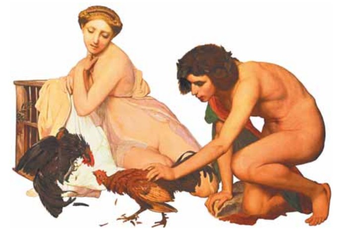 Петушиные бои были обязательным элементом воспитания юношей в Древней Греции