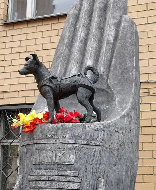 Памятник собаке Лайке