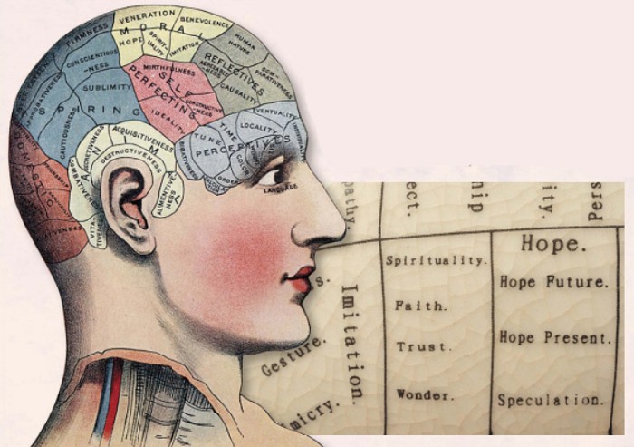 Френологическая карта мозга Галля