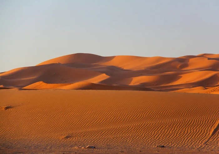Самая большая пустыня Сахара