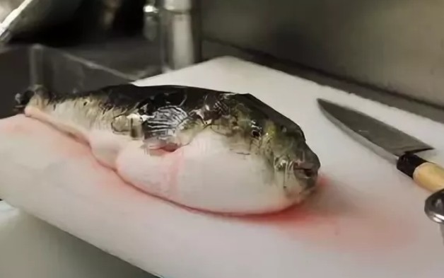 Приготовление рыбы фугу