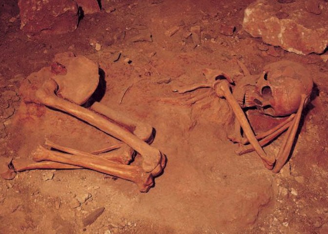 Череп скелета из этого погребения, обнаруженного во Франции