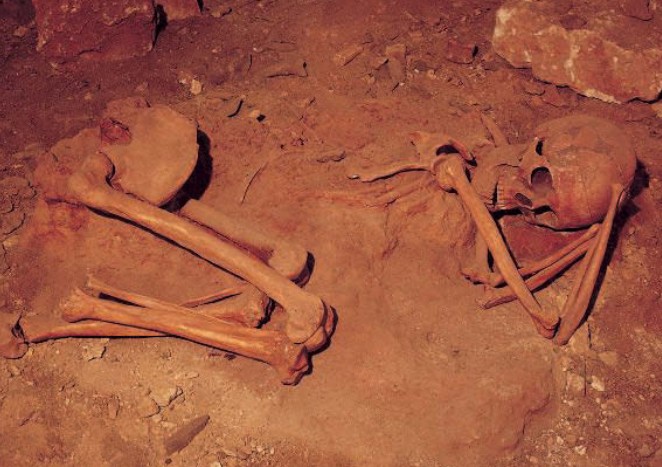 Череп скелета из погребения, обнаруженного во Франции