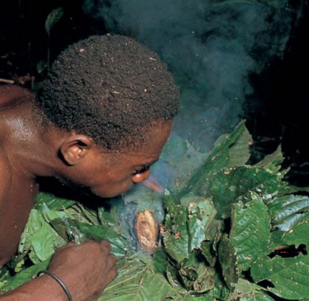 представитель народности мбути, проживающей в Конго, выкуривает пчел из гнезда
