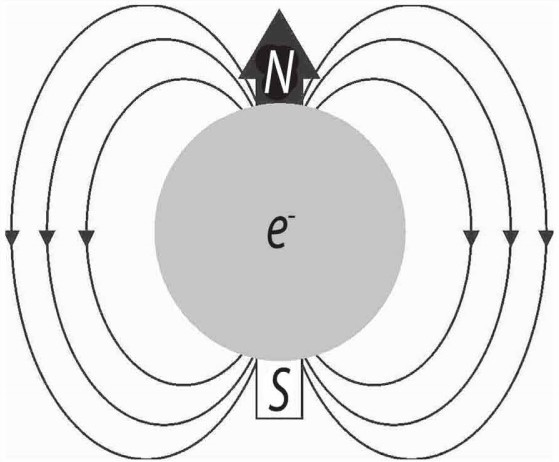 Теория спин электрона