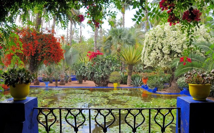 Сад Мажорель. Терраса. Марокко