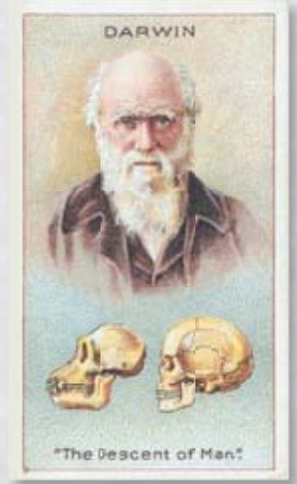 Книга Дарвина «Происхождение человека»
