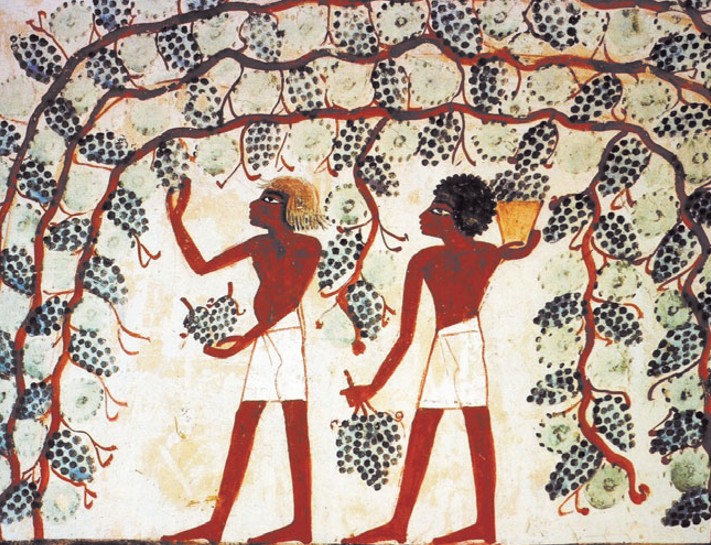 Сборщики винограда. Фрагмент настенной росписи в гробнице писца Накхта. XV в. до н. э. Египет 