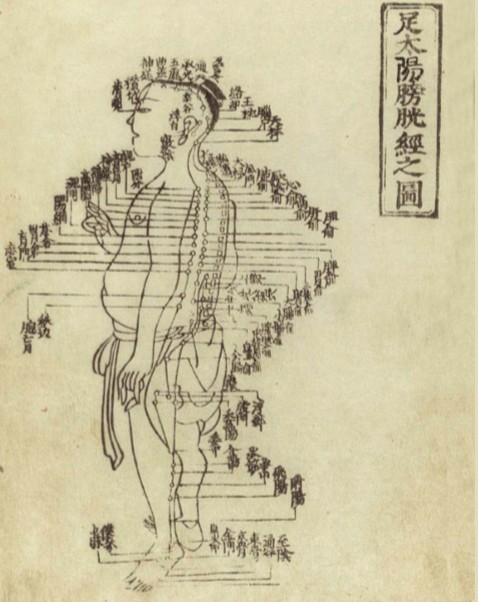 Схема биологически активных точек человека из древней китайской книги
