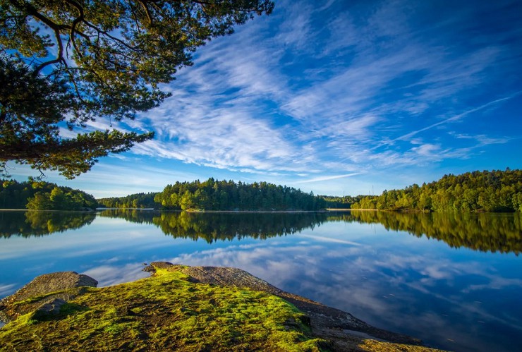 Пейзаж летней Швеции