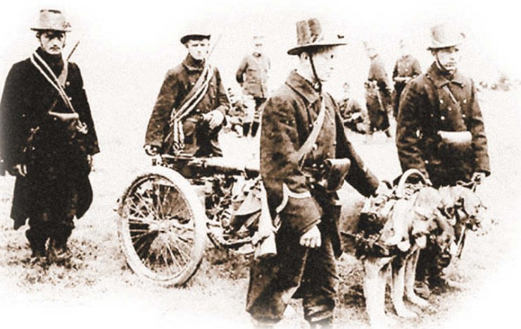 Бельгийские военные, с пулеметной установкой на колесном лафете, передвигаемую собаками