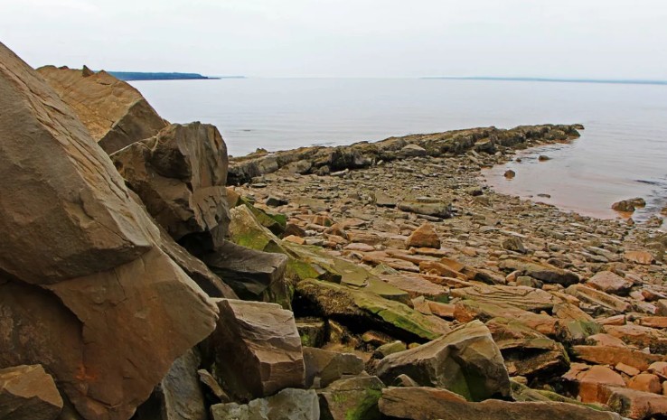 Скалы с окаменелостями в Джоггинсе