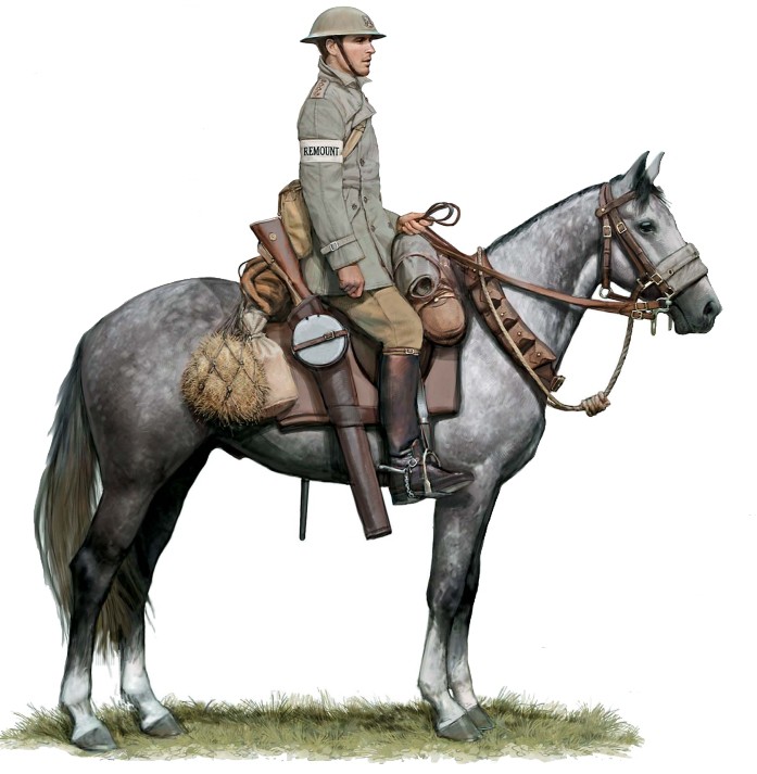 Капитан 2-го драгунского полка (Королевские Серые Шотландцы), 1916 г. 