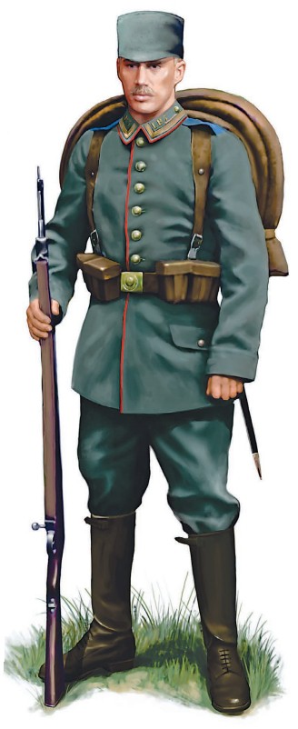 Унтер-офицер 5-го батальона баварского ландштурма, 1914 г.