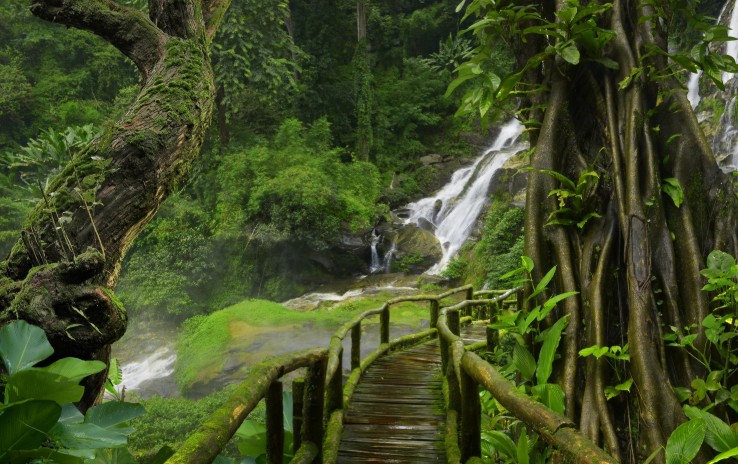 Тропические леса Тайланда