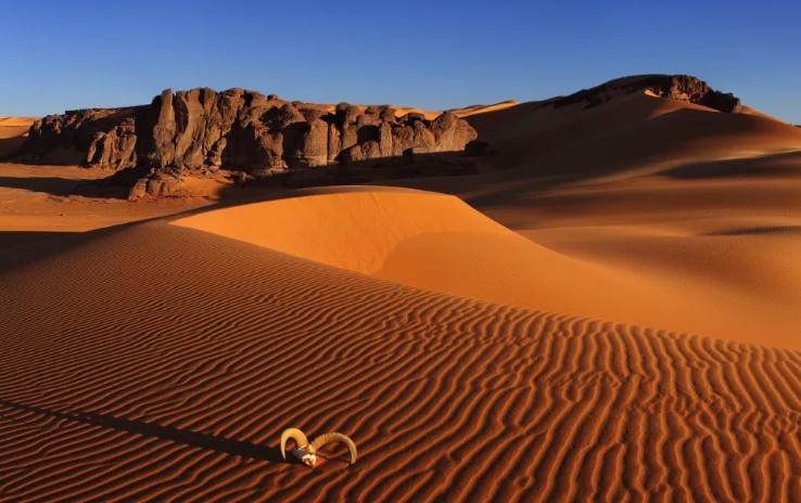 Пустыни Сахара