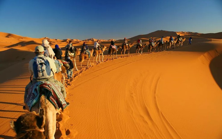 Прогулка по Сахаре на верблюдах