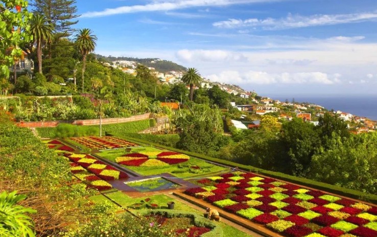 Ботанический сад на острове Мадейра