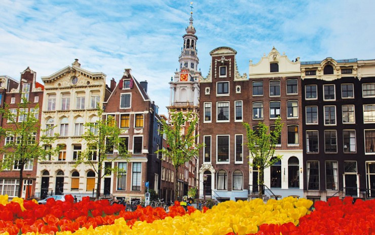 Нидерланды — страна тюльпанных полей