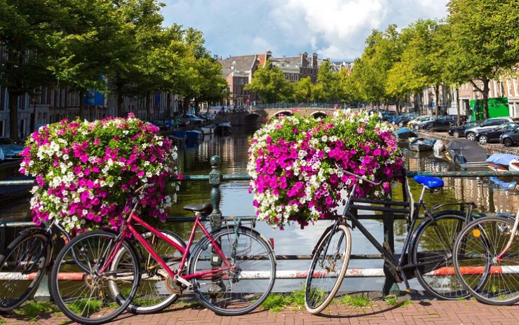Велосипед — самый популярный вид транспорта в Нидерландах